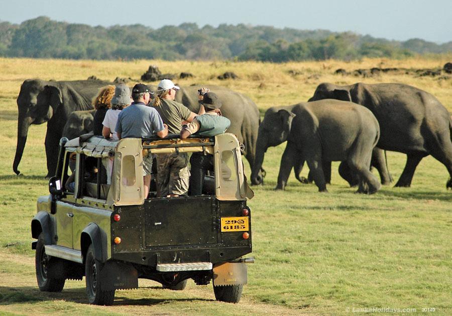 Safari Sri LAnka