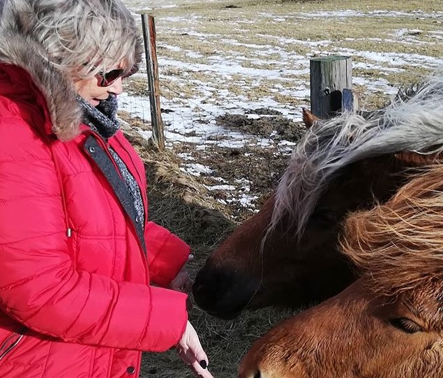 jsland paardjes -reis op maat - maart 2019 Paarden onderweg langs zuidkust IJsland