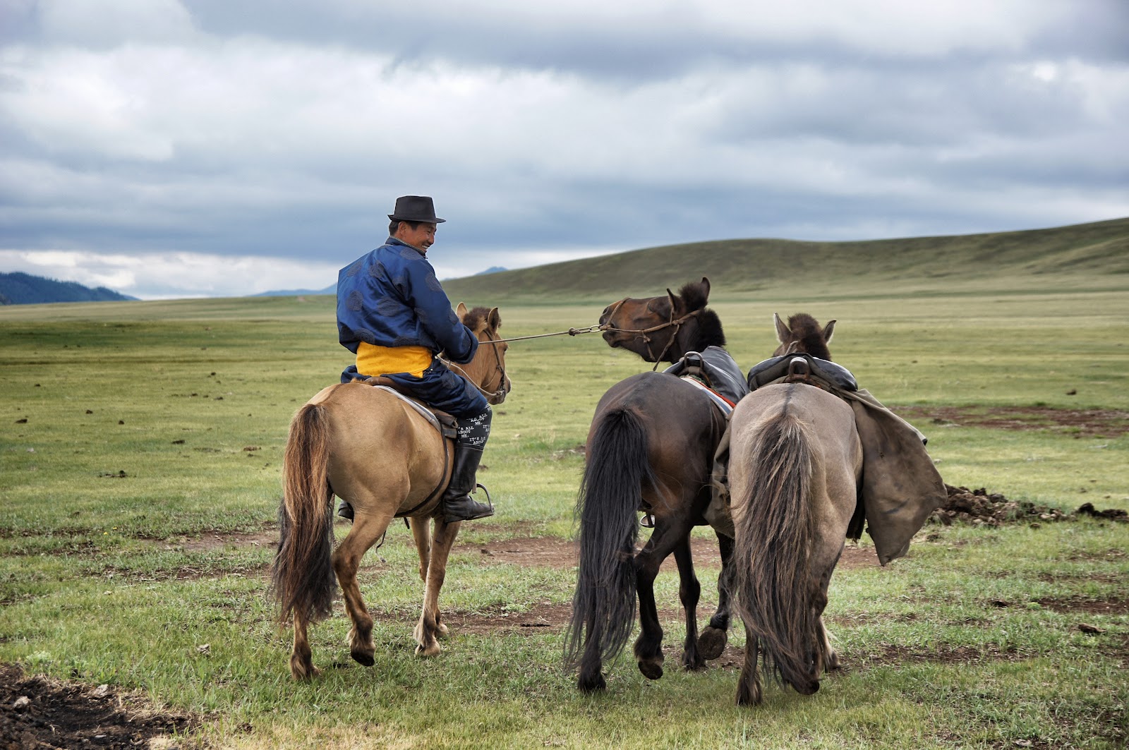Paardrijden Mongolië