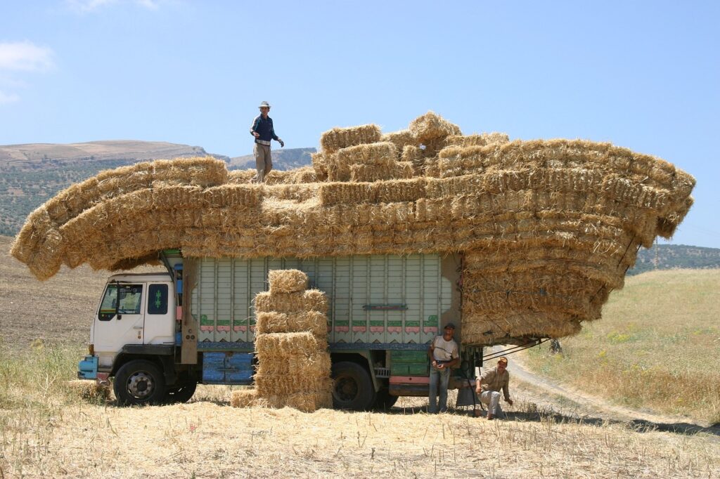 overladen truck in Marokko - Journeys.be