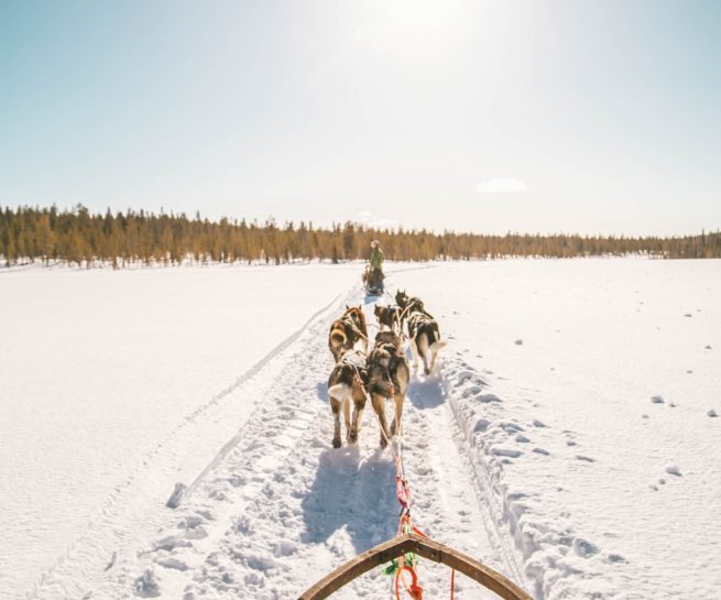 Winter in Lapland
