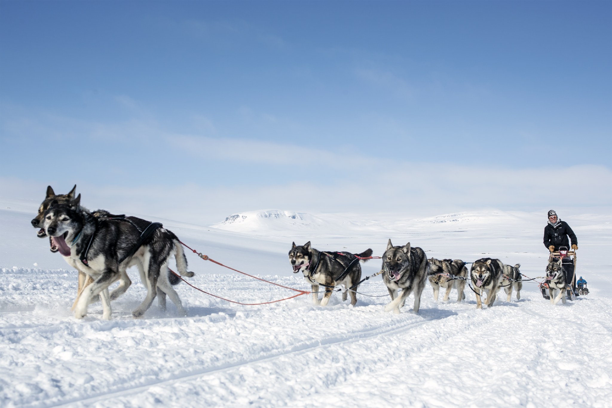Huskies Lapland www.journeys.be Huskies Lapland www.journeys.be