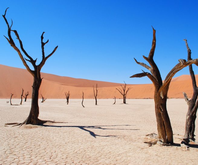 deadvlei Namibië