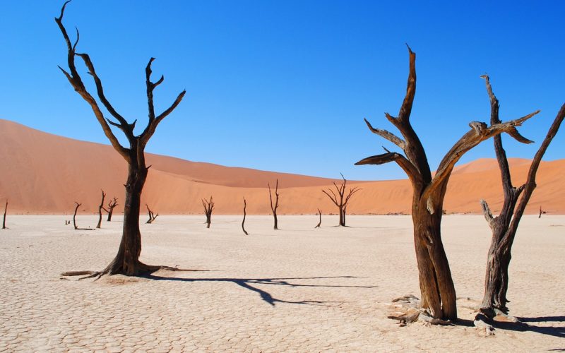 deadvlei deadvlei Namibië