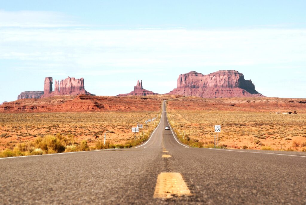 Reis USA met kinderen - Monument Valley - Forest Gump Point