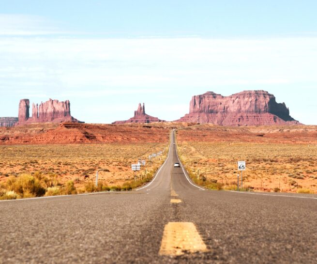 Reis USA met kinderen - Monument Valley - Forest Gump Point